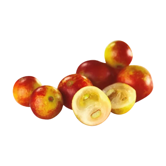 Pulpa de camu camu - citrus vending