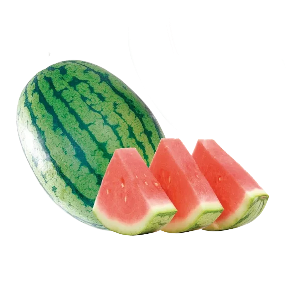 Pulpa de sandia - citrus vending