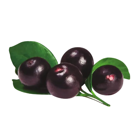 Pulpa de acai - citrus vending