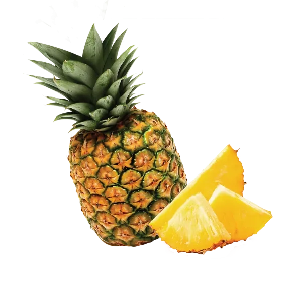 Pulpa de piña - citrus vending