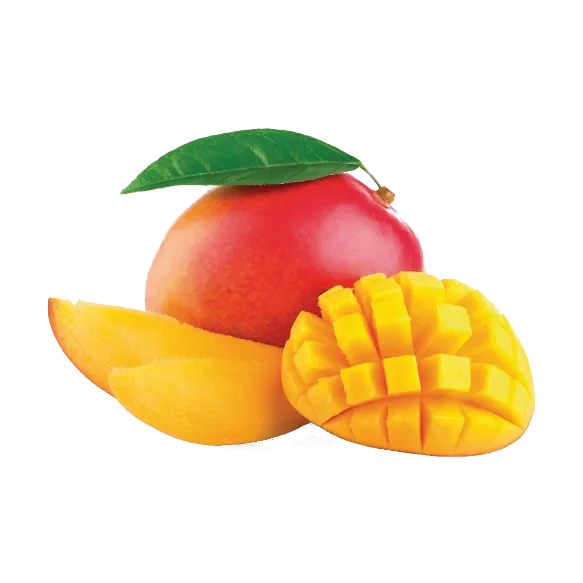 Pulpa de mango - citrus vending